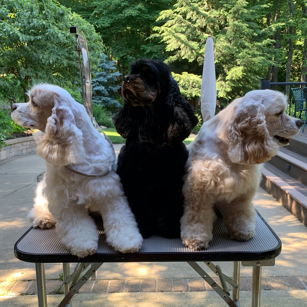 Meet your Posher, Jennifer